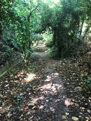 Semesterbostad Casa Nina *